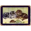 Hisun Tin Sign Vintage Funny Cat Coffee Themed Metal Tin Sign Retro Cute Kitten Wall Art Decor for Home Kitchen Cafe Bar Rustic Iron Painting P