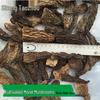 Sitong Junye Dried Morel Mushrooms - Yunnan Plateau Specialty