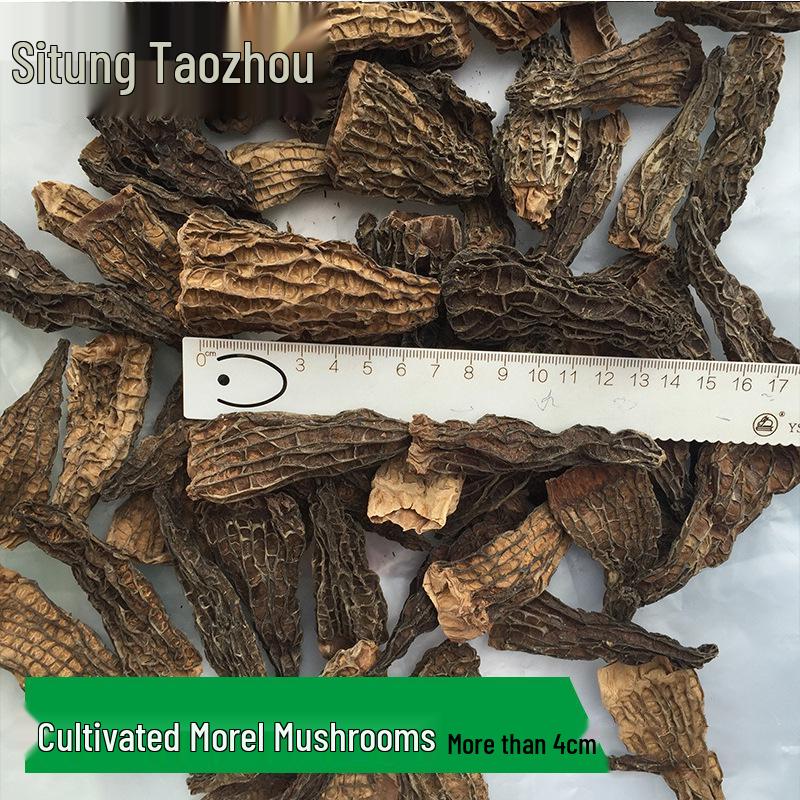 Sitong Junye Dried Morel Mushrooms - Yunnan Plateau Specialty
