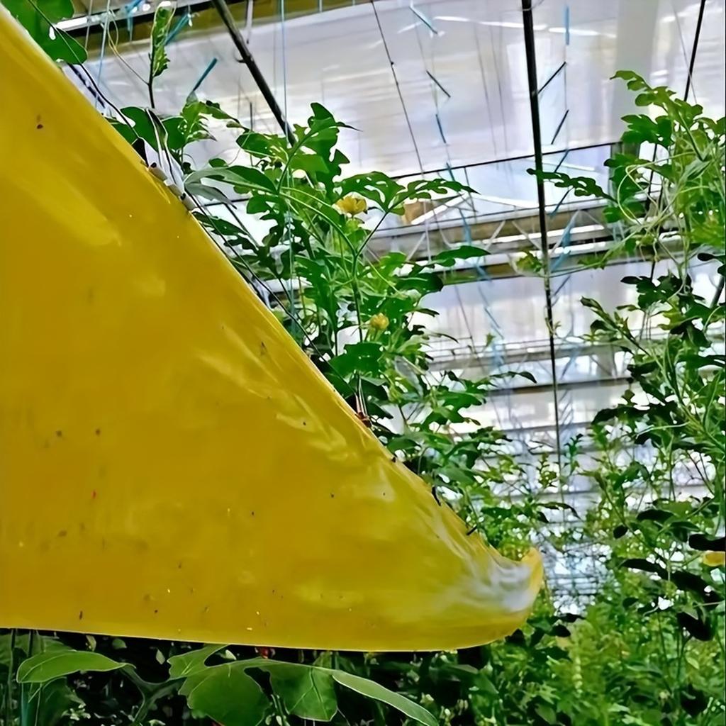 Yellow Self-adhesive Insect Barrier Tape, Suitable For And Trees