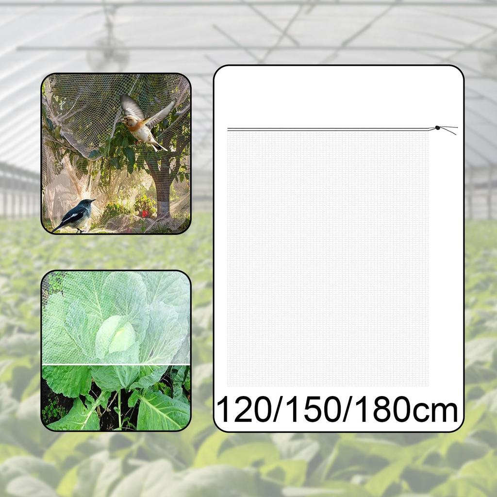 Mesh Enclosure Plant Guard Net Breathable Plant Support for Outdoor Vegetable and Flower Protection