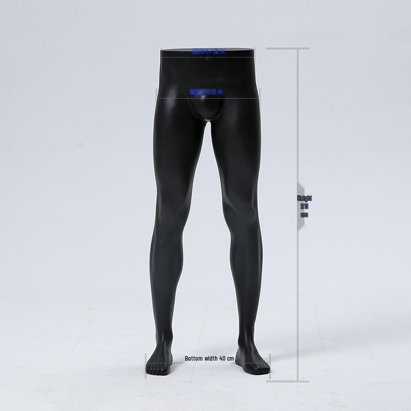 Unisex Torso Mannequin: Female & Male Underwear Display Stand