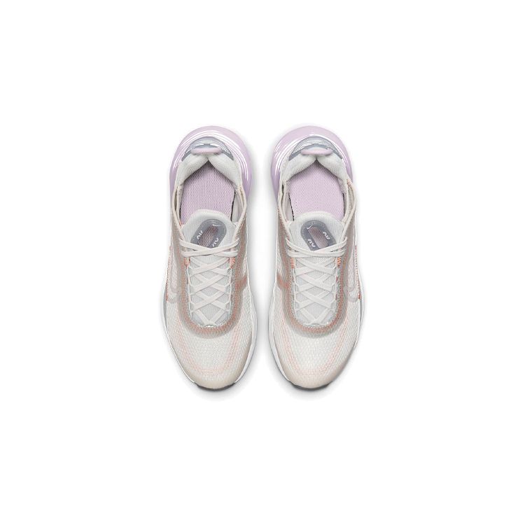 Nike Air Max 2090 GS Platinum Tint Light Violet Dětské tenisky Šedá Metalická-Platinum Crimson-Bliss CJ4066-014
