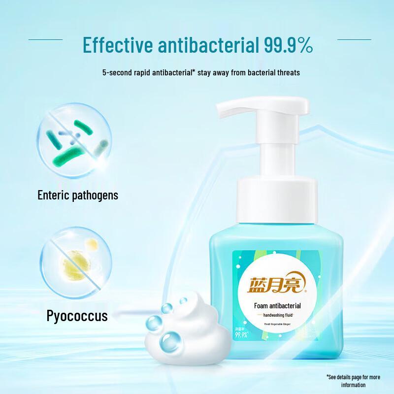 Blue Moon Fresh Fruit Mint Foaming Antibacterial Hand Soap (2-Pack)