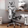OEING Ergonomic Lumbar Support Gaming Chair