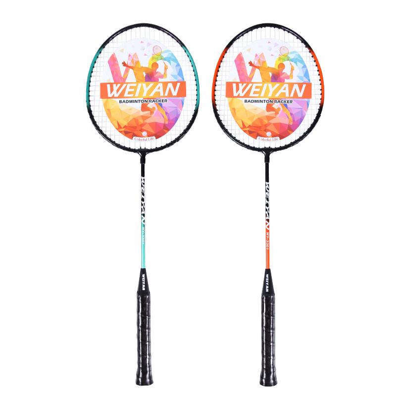 Ayoubu Durable Badminton Racket Set (2-Pack)
