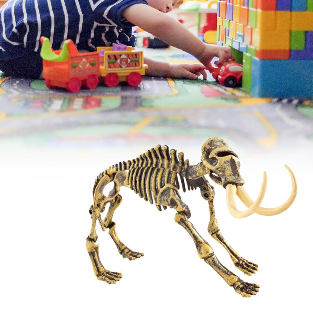 Dinosaur Skeleton Bones Model Toy Children Learning Educational Toys#2