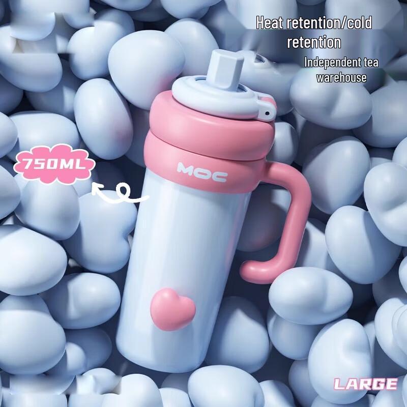 MOZHOU 750ml Double Drink Insulated Water Bottle