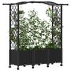Raised Garden Bed with Trellis and Roof Black 164 x 40 x 144 cm PP