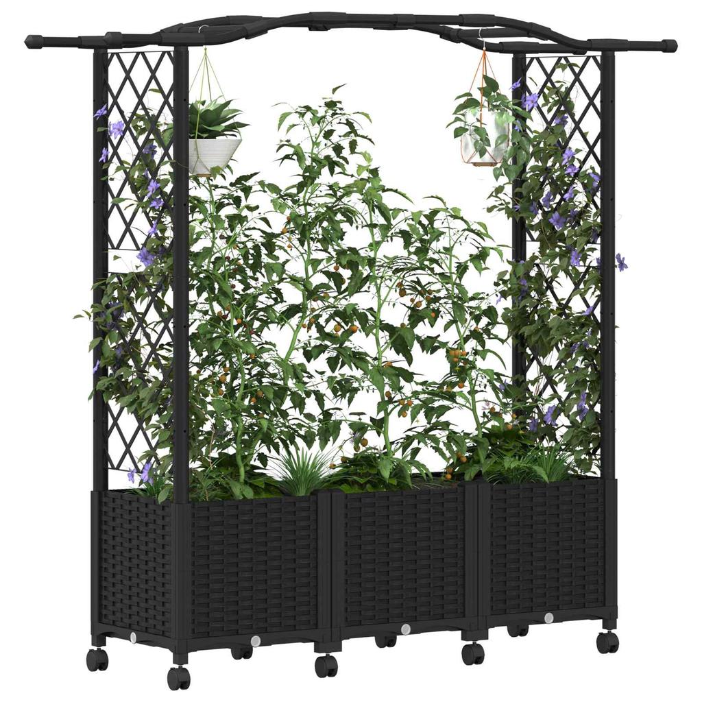 Raised Garden Bed with Trellis and Roof Black 164 x 40 x 144 cm PP