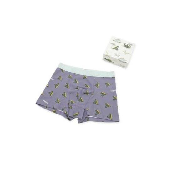 Gelato Pique HOMME Sleeping Dinosaur Pattern Underwear Box PMCP262923 Mens