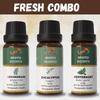 Fresh Aroma Essential Oil Combo for Aromatherapy & Home Fragrance | Lemongrass, Eucalyptus & Peppermint
