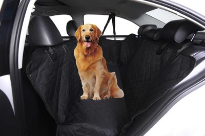 Nakliye ve depolama – Hayvan Taşımacılığı