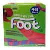 General Mills Fruit by the Foot 48 Rulouri 1,02 kg