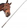 Reitsport – Pflegeprodukte für Pferde