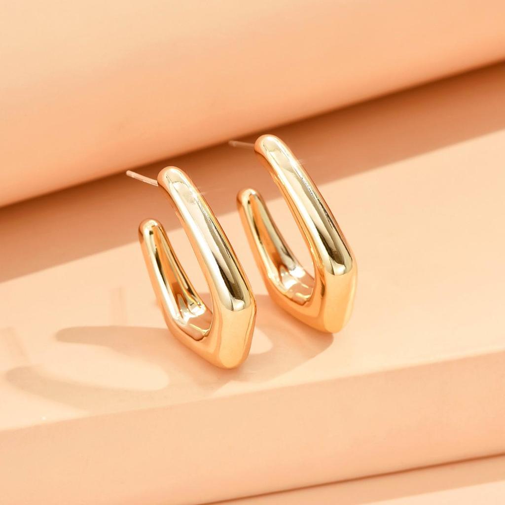 Exquisite High-End Metal Hoop and Stud Earrings with Niche Design