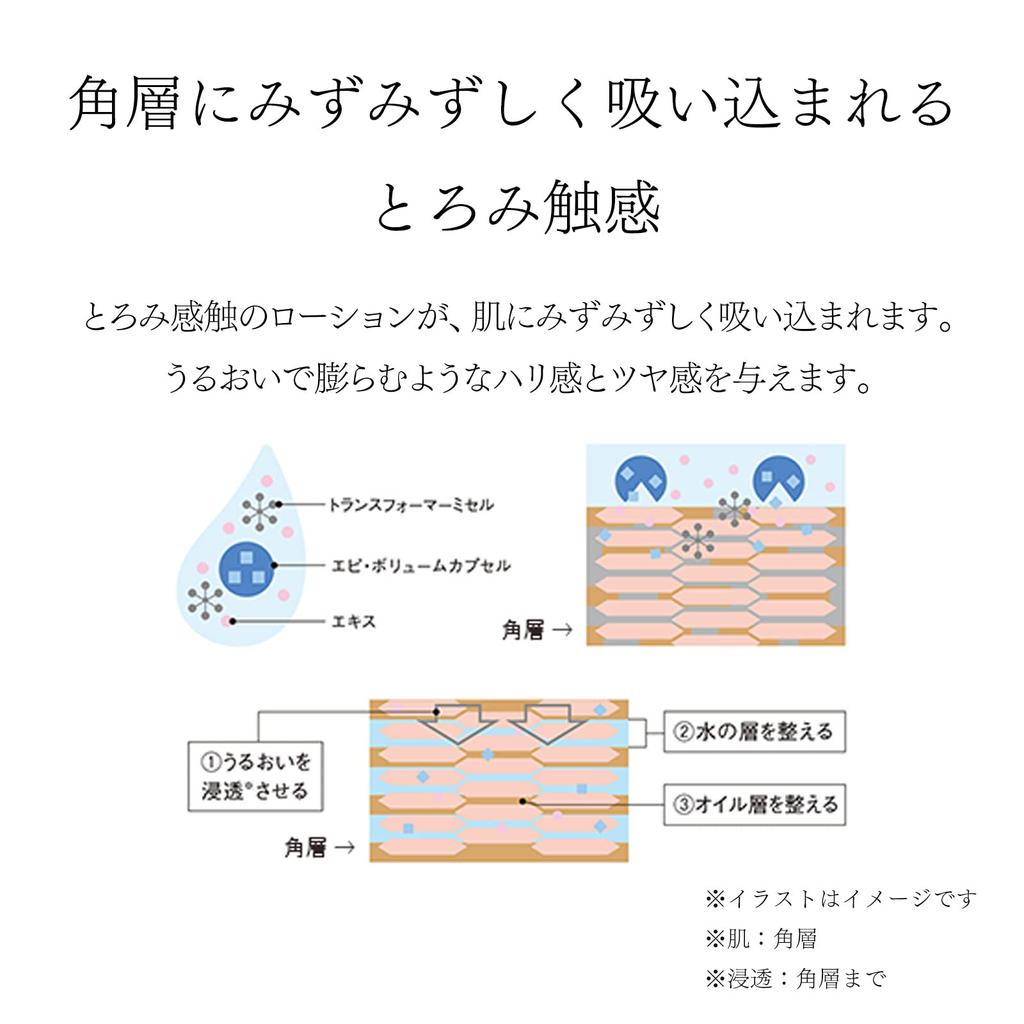 POLA Lotion N Main Body 120mL B.A [Lotion]