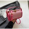 Spring 2025 New Korean Version Trendy Fashion High-end Small Square Bag Crossbody Bag Texture Shoulder Women's Bag