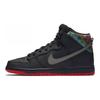 SPoT x SB Dunk High Pro Gasparilla