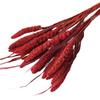 Yunnan Dried Millet Ears: Eternal Flowers for DIY Home Decor & Photo Props