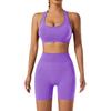New Seamless High Stretch Yoga Shorts, Neck Hanging Sports Bra, Underwear, Running And Fitness Pants, Yoga Suit Set For Women