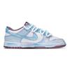 Nike Dunk Abrasion Resistant Low top Skateboard Shoes Unisex White Blue DV0833-112(Team376-)