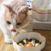 Neck Guard Slow Feeder Bowl Large Diameter Cat Water Bowl Ceramic Raised Pet Bowl  Household Use