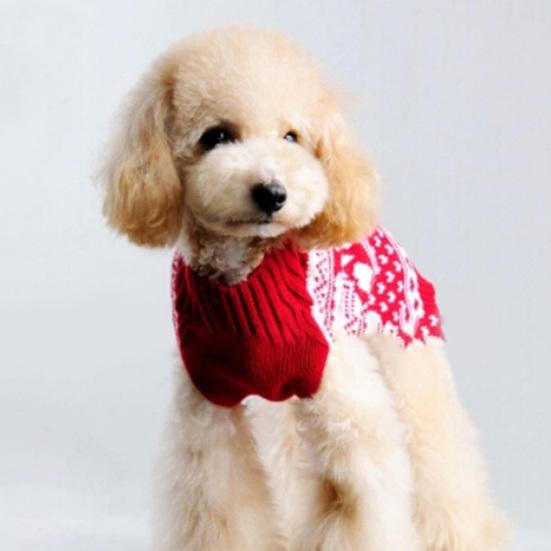 toy poodle sweaters