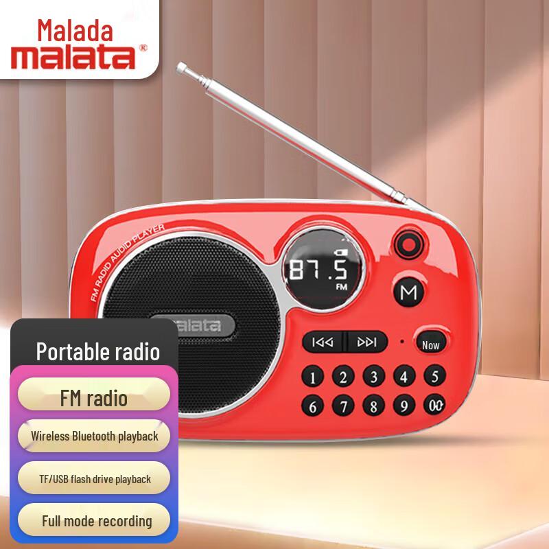 Malata Tragbarer Bluetooth FM Radio Lautsprecher CN-Stecker (Adapter enthalten)