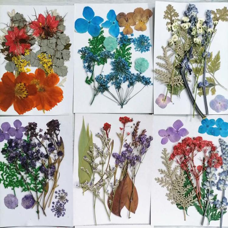 Pressed Dried Flower DIY Kit: Bookmark, Resin, & Phone Case Embossing Materials