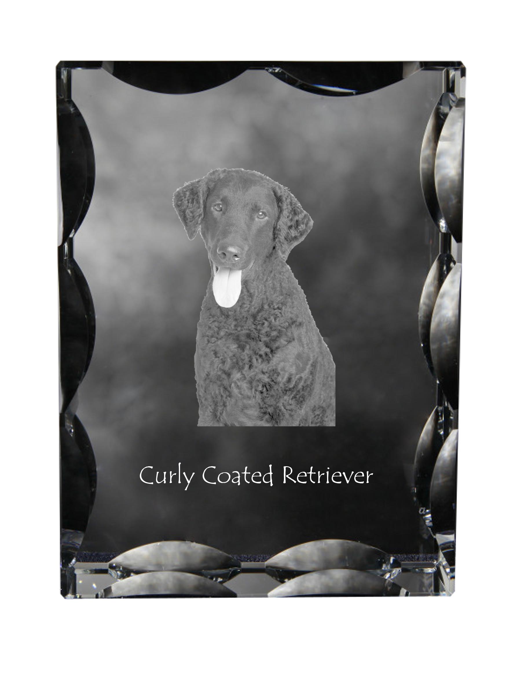 

Curly Coated Retriever - crystal with a picture of a dog, glass statuette with a picture, unique frame with a picture from Art-Dog brand прозорий