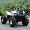 Automobile și motociclete – Pentru ATV-uri