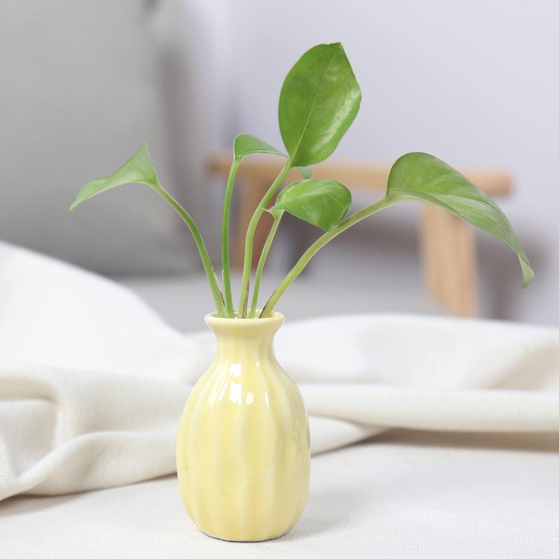 Ceramics Flower Vase Nordic Hydroponics Vases Creative Room Decor Mini Flower Plant Bottle Pots Table Ornament Colorful Vase