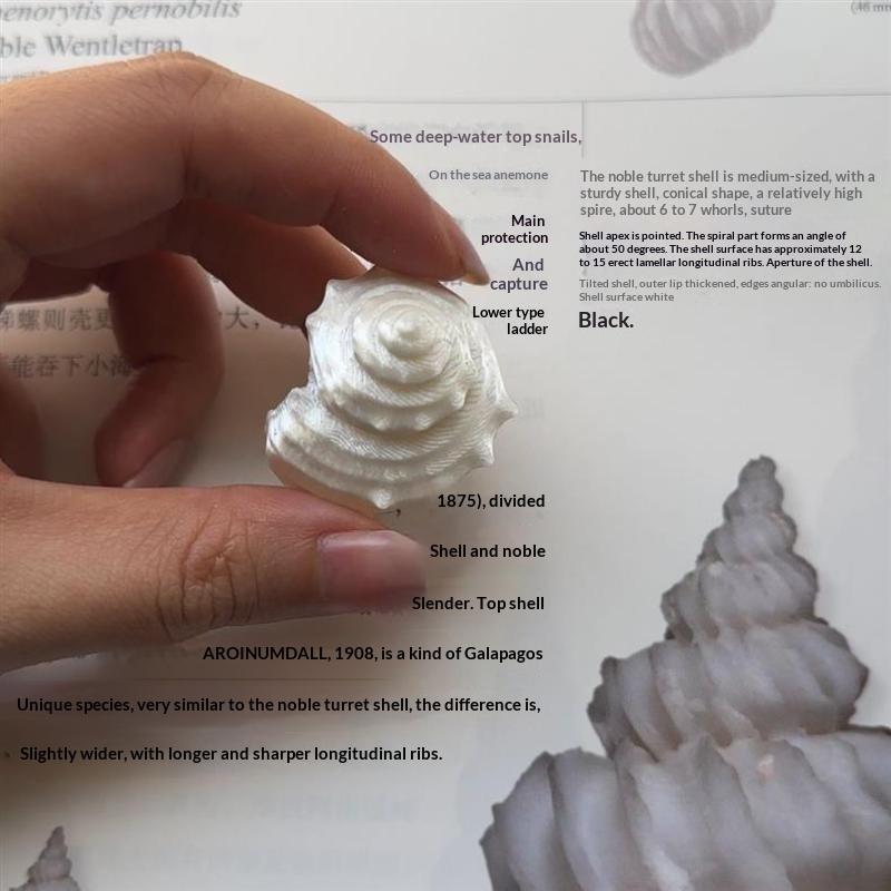 Bohemian Thorn Design Ring White Resin Starfish Shell Creative Seaside Jewelry for Women Daily Casual Wear