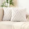 2Pcs Boho Abstract Plush Pillow Covers, Soft Fuzzy Decorative Cushion Cases for Couch, Sofa, Bedroom & Farmhouse Home Decor
