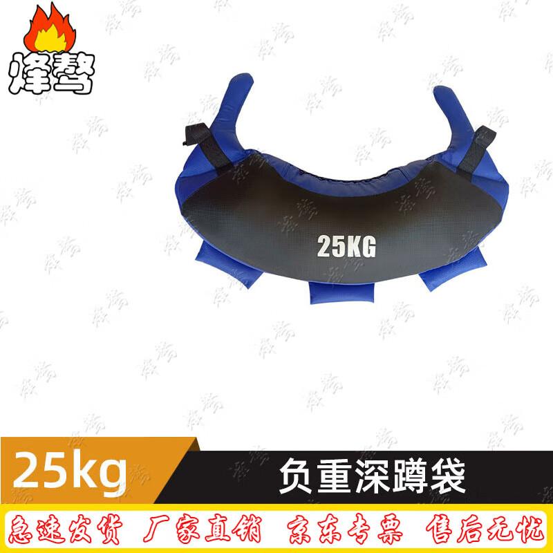 FengaO Weighted Training Sandbag