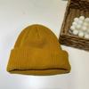 Autumn and Winter Pure Color Knitted Women's Warm Woolen Hat