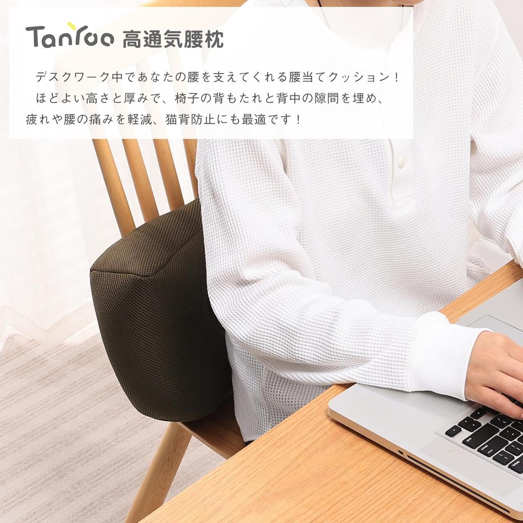 TanYoo Lumbar Back Pain Relief Breathable Lumbar Support Pillow with Memory Foam Mesh Convenient Pillow for a Comfortable Soft and for or Car Use