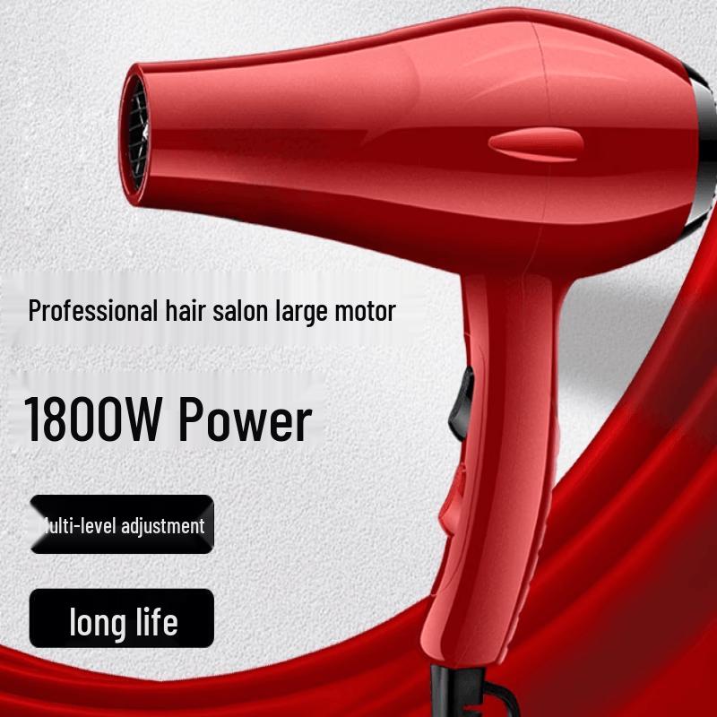 LISM Professional High-Power Negative Ion Hair Dryer