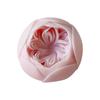 Silicone Mold Resin Art Moulds Candle Crafting Molds Rose Flower Shape Unique Ornament Moulds Silicone Texture for Clay