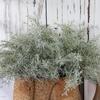 Party Supplies Realistic Artificial Rosemary Plants Handmade Colorfast Eucalyptus Breath DIY Artificial Flowers Rustic Farmhouse