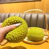 Superior-Grade Soft First-Class Durian Premium-Quality Fruit First-Class Squishy Superior-Grade Toy Superior-Grade – First-Class Slow Rising