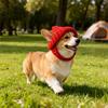Pet Headgear Soft Winter Dog Hat Dog Hat With Ear Flaps Easy To Clean Dog Beanie Hat For Winter Small Dogs Indoor