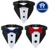 Tanpopo Large Dog Bandana Bib & Bow Tie Scarf Suit