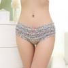 Cute Lace Low Waisted Panties with Mesh and Sexy Women's Panties
