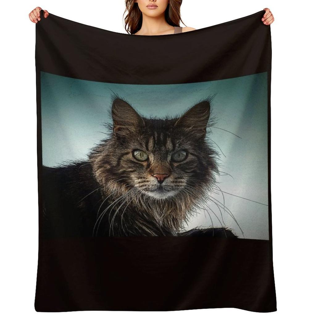 Maine Coon Kat Überwurfdecke Dekorative Stofftiere Niedlich Kariert Riesige Sofa Decken