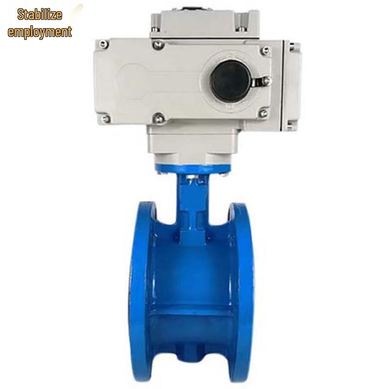 Wengong Electric Flange Butterfly Valve DN100
