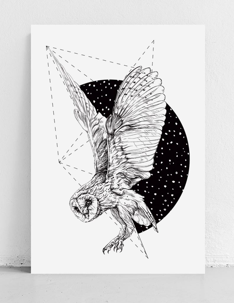Poster Black and White Owl Moon