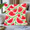 1pc Retro Watermelon Throw Pillow Cover - Soft Velvet Cushion Cover with Zipper Closure, Peel & Seed Suitable for Sofa Bed Chair Decor, Hand Washable