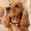 Dream Colored Bead Pet Collar Detachable Design Dog Collar Dreamy Pet Necklace  For Cat